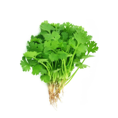 Coriander Leaves